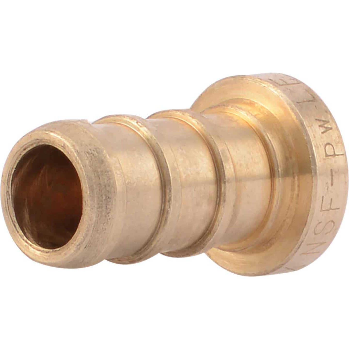 Best Pirce 🔥 SharkBite 3/8 In. Barb Brass PEX Test Plug 🌟 1 Best Pirce 🔥 SharkBite 3/8 In. Barb Brass PEX Test Plug 🌟